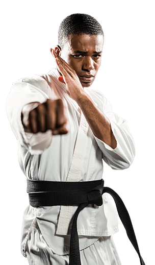 Robinson's Taekwondo adult Martial Arts