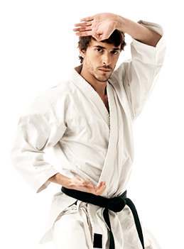 Robinson's Taekwondo book instructor