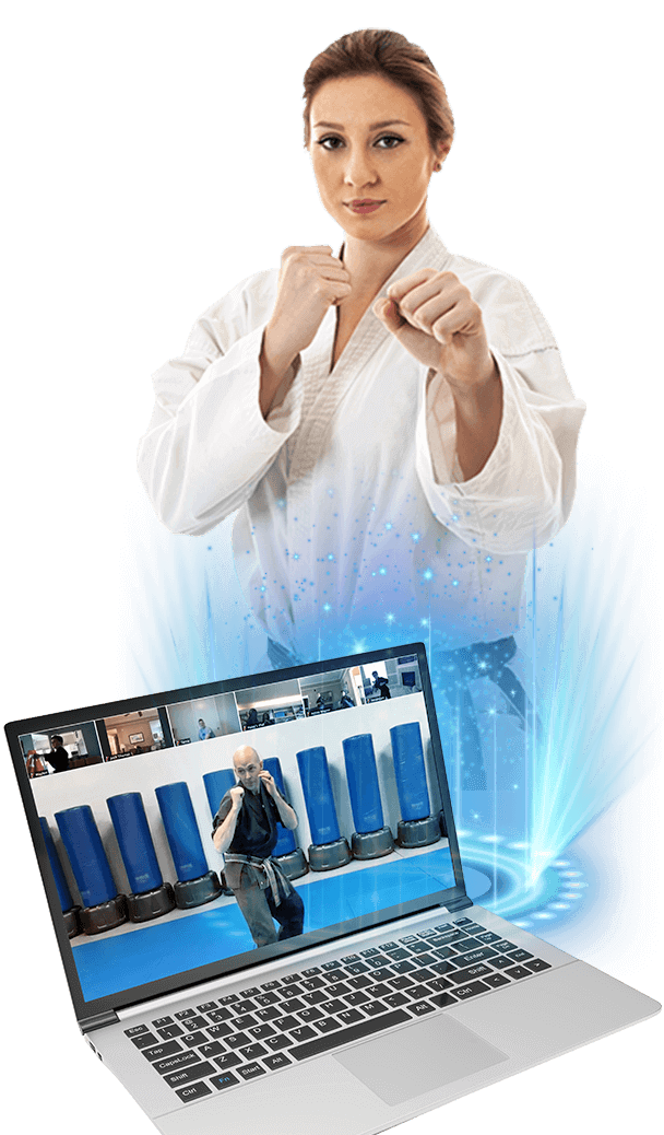 adult online martial arts classes