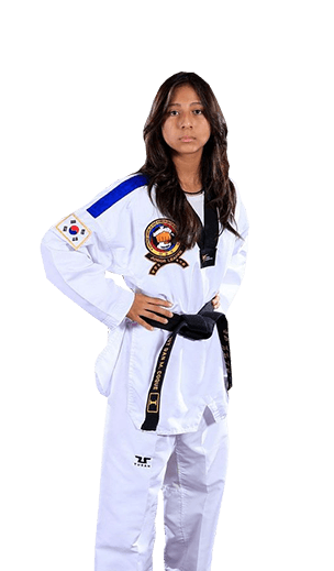 Robinson's Taekwondo adult martial arts